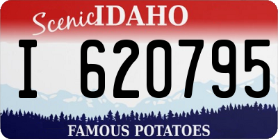 ID license plate I620795