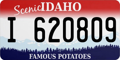 ID license plate I620809
