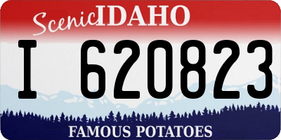 ID license plate I620823