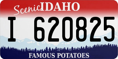 ID license plate I620825