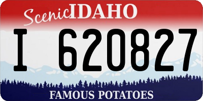 ID license plate I620827