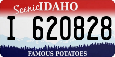 ID license plate I620828