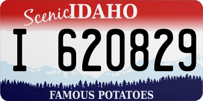 ID license plate I620829