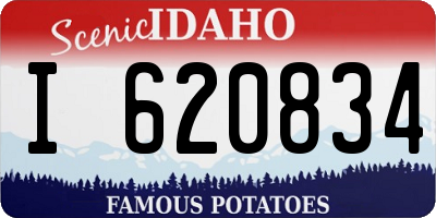 ID license plate I620834