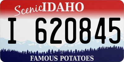 ID license plate I620845