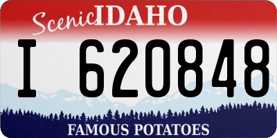 ID license plate I620848