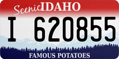 ID license plate I620855