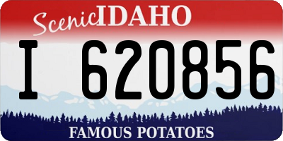 ID license plate I620856