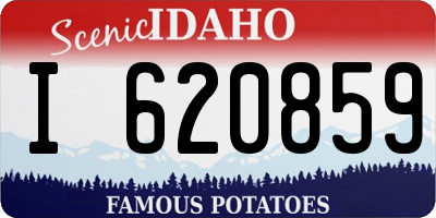 ID license plate I620859