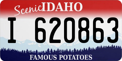 ID license plate I620863