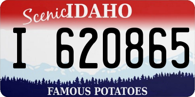 ID license plate I620865