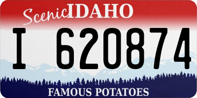 ID license plate I620874