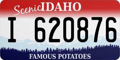 ID license plate I620876