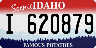 ID license plate I620879