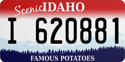 ID license plate I620881