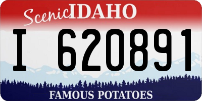 ID license plate I620891