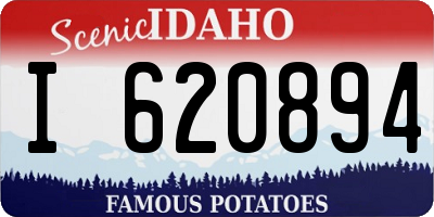 ID license plate I620894