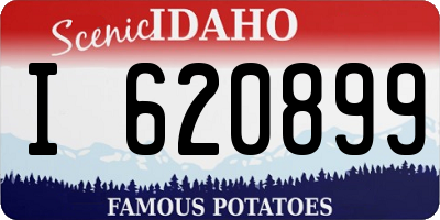 ID license plate I620899