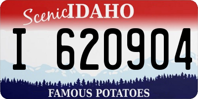 ID license plate I620904