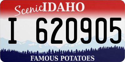 ID license plate I620905
