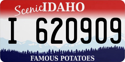 ID license plate I620909