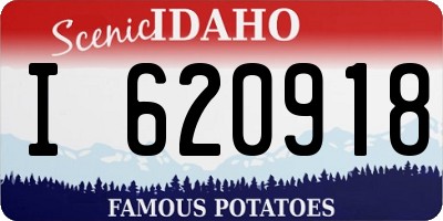 ID license plate I620918