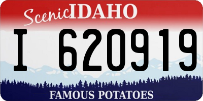 ID license plate I620919