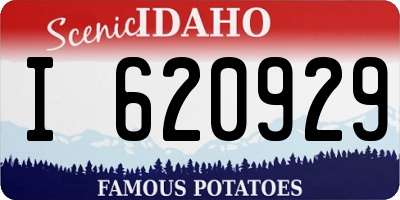 ID license plate I620929