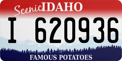 ID license plate I620936