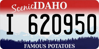 ID license plate I620950