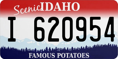 ID license plate I620954