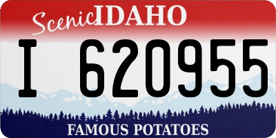 ID license plate I620955