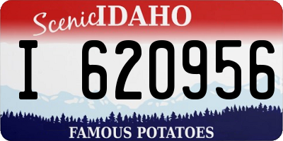 ID license plate I620956