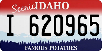 ID license plate I620965