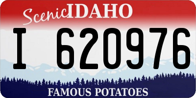 ID license plate I620976