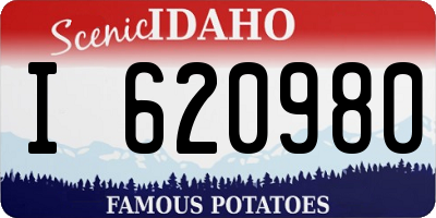 ID license plate I620980