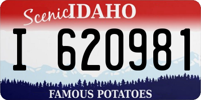 ID license plate I620981