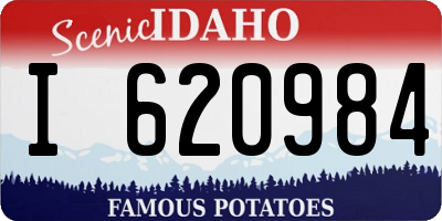 ID license plate I620984