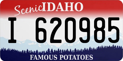 ID license plate I620985
