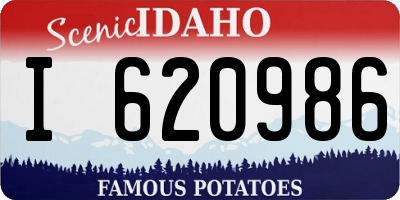 ID license plate I620986