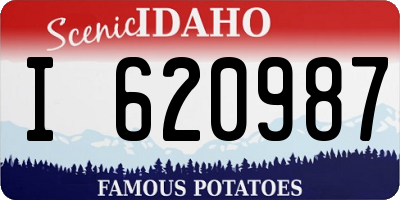ID license plate I620987