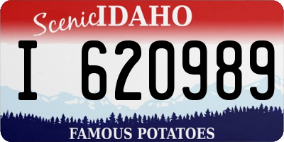 ID license plate I620989