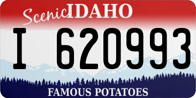 ID license plate I620993
