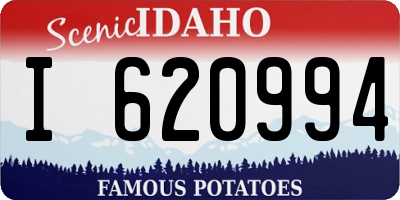 ID license plate I620994