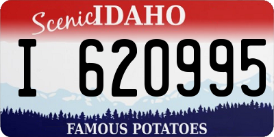 ID license plate I620995