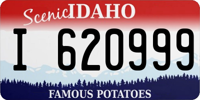 ID license plate I620999