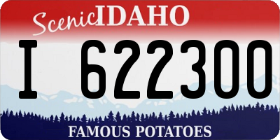 ID license plate I622300