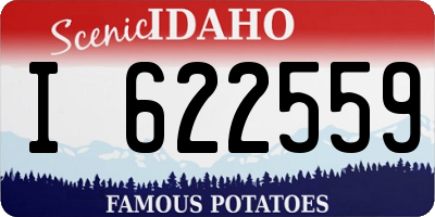 ID license plate I622559