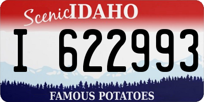 ID license plate I622993