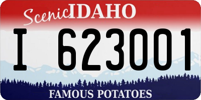 ID license plate I623001